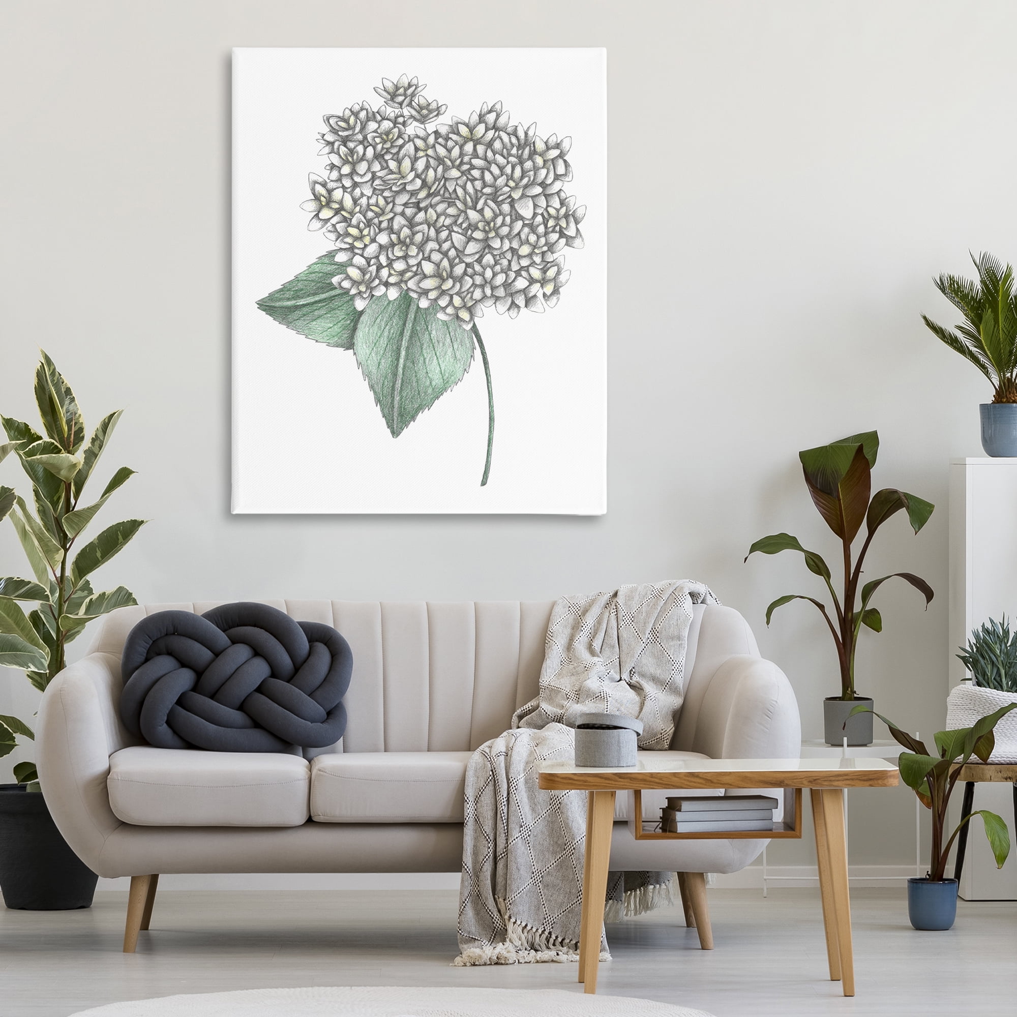 White Hydrangea Sketch Blossom Canvas Wall Art, design by Cecilia Battaini