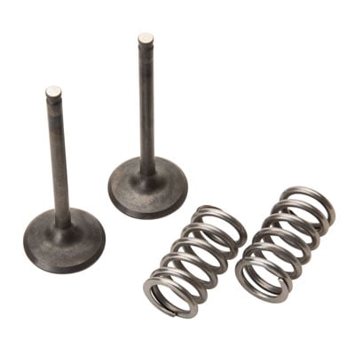 Pro X 28.SES2424-1 Steel Exhaust Valve/Spring Kit