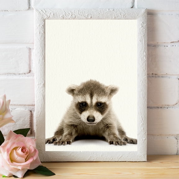 Baby Woodland Raccoon - Nursery Wall Décor Farm Baby Animal Art Print