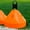 Orange, variant on FORZA Soccer SuperCone Training Marker Domes [20 Pack] | Jumbo 5.5in Cones for Speed & Agility Training | Heavy-Duty Weatherproof PVC Options