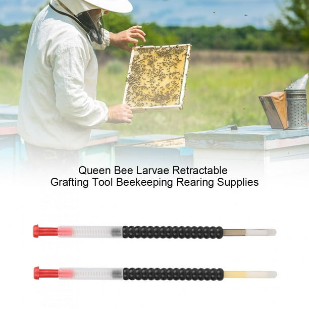 Outil De Greffage Larves Abeilles Acier Inox | Aiguille Greffe Reine Apiculture Mobile Précise Et Antirouille