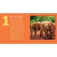 thumbnail image 6 of 50 Ways to Save the Elephants (and change the world) : Simple Ways to Make a Difference in the World (Paperback), 6 of 6