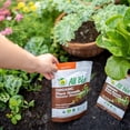 ALL BIO Organic OIF8 Plant Food Plant Growth Booster/Indoor House