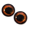 thumbnail image 4 of Deep Amber Dog Glass Eyes, 4 of 11