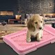 thumbnail image 1 of unbranded Accesorio Para Perros De Plástico Rosa Resistente Para Entrenamiento En Interiores Y Exteriores, 1 of 8