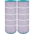 thumbnail image 1 of Hurricane 2 Pack HF8316-01P Platinum Purple Pool Filter Cartridge Replacement, 1 of 7