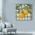 thumbnail image 3 of Trademark Fine Art 'Fruit and Pattern IV' Canvas Art by Megan Meagher, 3 of 4