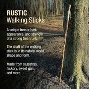 Brazos Rustic Wood Walking Stick, Twisted Sassafras, Traditional Style Handle, for Men & Women, 48