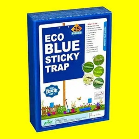 Blue Catch Jumbo Size Adhesive Traps 2 ct