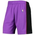 thumbnail image 2 of Men's Mitchell & Ness Purple Toronto Raptors Hardwood Classics Primary Logo Swingman Shorts, 2 of 4