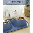 thumbnail image 3 of PETIMI Cat Bowl, Small Dog Bowls, Cat Food Bowl with 2 Removable Stainless Steel Feeding Bowls, Suitable for Small and Medium Sized Pets（Blue）, 3 of 8