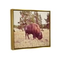 thumbnail image 3 of Stupell Wild Bison Rural Nature Scenery Animals & Insects Photography Gold Floater Framed Art Print Wall Art, 3 of 6