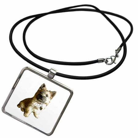3dRose The Cutest Cairn Terrier in the World Cuter than Toto Wizard of Oz - Necklace with Pendant (ncl_244031_1)
