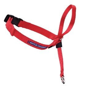 - Gentle Leader Quick Release Headcollar: Large, Red