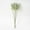 Green, variant on HKEJIAOI High Simulation Rice Ear Bouquet, Artificial Plastic Wheat Stems, Dried Flower Arrangement for Home Decor, Photography Props, Set of 6