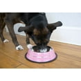 thumbnail image 6 of Iconic Pet 2-Pack Color Splash Stripe Non-Skid Pet Bowl For Dog Or Cat, Pink, 64 Oz, 8 Cup, 6 of 6