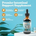 thumbnail image 2 of Rejuvica Health IntestiClear - Intestinal Cleanse Supplement with Wormwood, Ginger & More | 3-Pack, 2 of 7