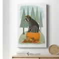 thumbnail image 6 of Raccoon On Pumpkin Premium Gallery Wrapped Canvas - Ready to Hang, 6 of 9