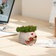 thumbnail image 2 of Maceta Con Forma Silla Oscilante Macetas Suculentas Plantas Bonitas Creativa para El Jardín Y, 2 of 9