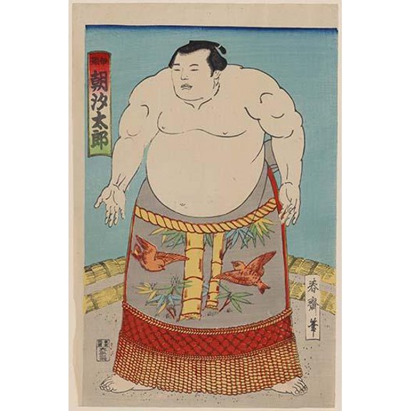Sumo Wrestler- Fine Art Canvas Print (20" x 30")