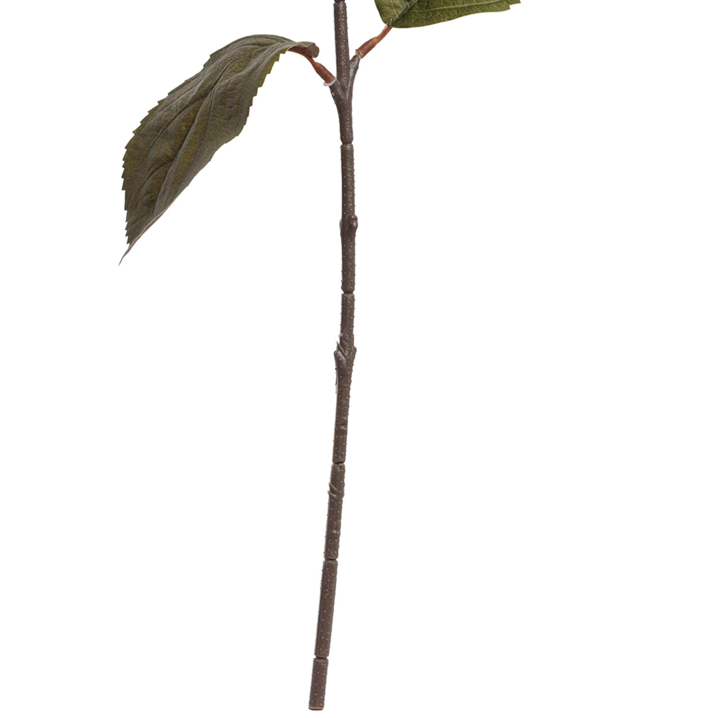 My Texas House Fall Faux Hydrangea Stem, Cream, 20"