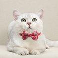 thumbnail image 1 of Flmtop Collier pour Animaux de Compagnie Bowknot Conception Amovible Peau Chat Familier Collier Boucle avec Cloche pour Produit pour Animaux de Compagnie Pastèque Rouge, 1 of 9