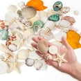 thumbnail image 2 of Sinkoo Sea Shells Mixed Beach Seashells 12 Kinds 0.5"-2.5", Scallops Starfish Sand Dollarand More, Various Sizes Natural Sea shells Beach Party DIY Fish Tank Vase Filler, 2 of 6