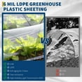 thumbnail image 4 of Gaderth Greenhouse Plastic Sheeting, Clear Greenhouse Plastic Film 50 x 26 Ft - UV Resistant Polyethylene Sheeting for Hoop Houses, Cold Frames & Plant Protection, 4 of 11