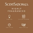 thumbnail image 3 of Cinnamon Cashmere Scented Wax Melts, ScentSationals, 2.5 oz, 3 of 5