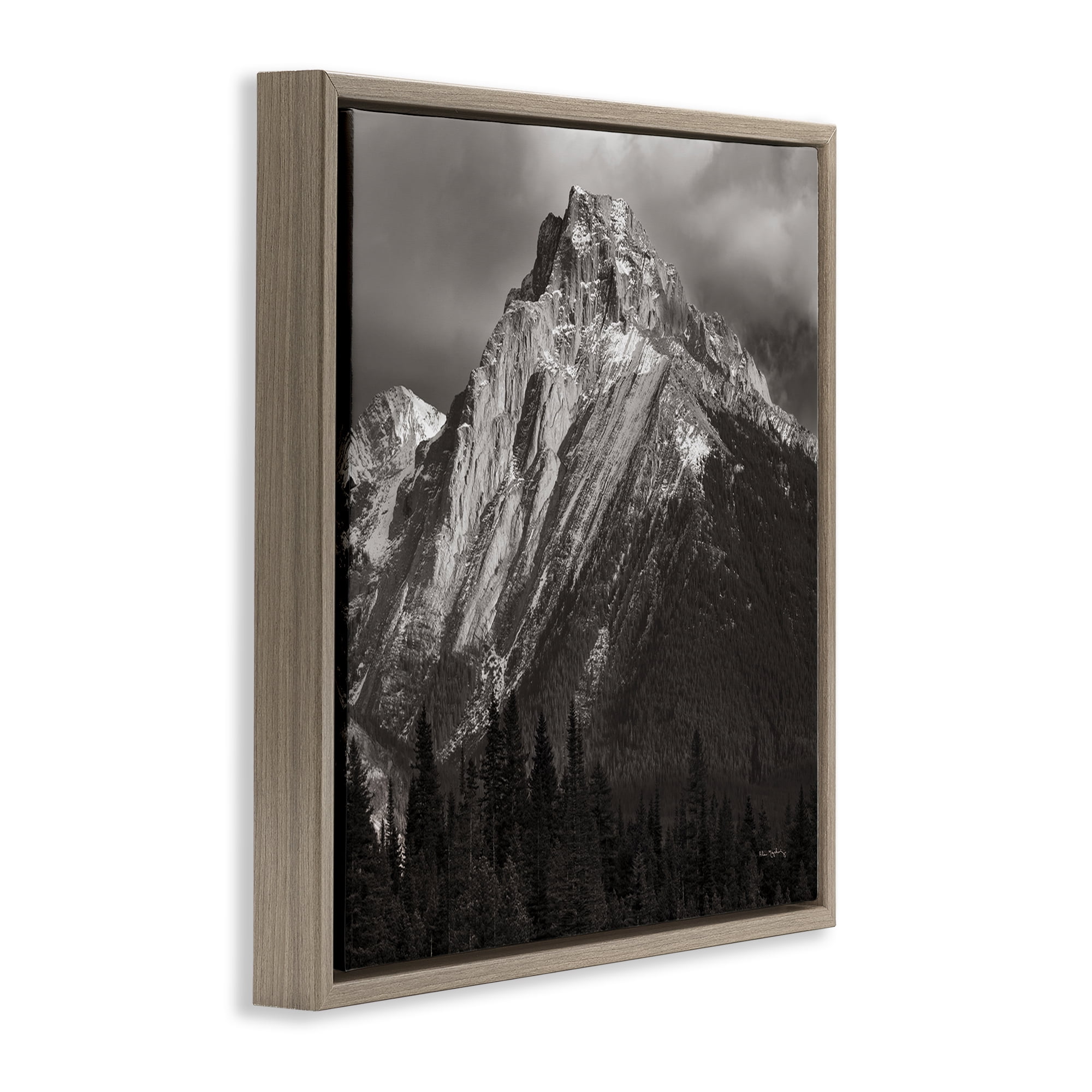 Stupell Industries Canadian Rockies View Landscape & Nature Photography Brown Floater Framed Canvas Art Print Wall Art, 25 x 25