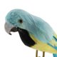 thumbnail image 4 of Estatuil de Adorno de Pájaro , Modelo , Estatua de Juguete, Escultura de Decoración de Jardín de Césped Hugo Juguete de loro de simulación, 4 of 10