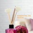 thumbnail image 4 of LOLIPPYY 5Jgo Rattan Reed Para Difusor De Esenciales Con Chrysanthemum, 4 of 8