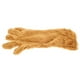 thumbnail image 4 of 1pc Creative Bear Palm Glove Guante de peluche Guante caliente Party Prop (Brown), 4 of 5