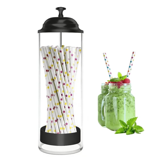 RYLZX Straw Holder for Standard Size Drinking Straws, Acrylic Plastic Straw Dispenser for Counter with Lid Black(Straws Not Include)