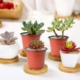 thumbnail image 6 of 100-Pack 3.5 Inch Plastic Plant Nursery Pots Seedling Flower Plant Container and Seed Starting Pots, 6 of 7