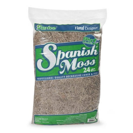 Darice Premium Gray Spanish Moss for Crafts, 24 ounce