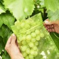 thumbnail image 4 of Grape Protection Bags with Drawstring - Organza Fruit Bunch Covers for Vineyard & Gardening, 4 of 4