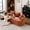 Pink, variant on CKEASEAN 65"W Chenille Compression Curved Loveseat, No Assembly Required, Full Compression Sponge Plush Couch with 3 Throw Pillows, Luxury Floor Cloud Boneless Couches for Small Spaces & Living Room