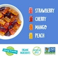 thumbnail image 4 of Yummy Earth Organics Gummy Bears - Organic - Snack Pack - .7 oz - 10 Count - Case of 12, 4 of 4