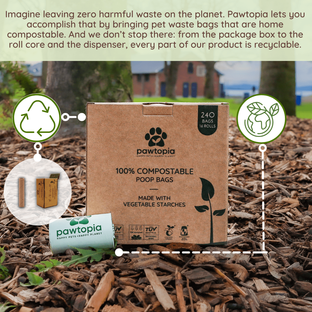 Pawtopia Certified Home Compostable Dog Poop Bag| Cat Litter Bag (240 Bags + Paper Dispenser, Green)