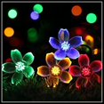 thumbnail image 1 of Luces de hadas de burbujas de estrella solar CHAO decoración de jardín al aire libre LED 50 flores de cerezo, 1 of 3