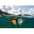 thumbnail image 4 of Ocean Reef - Aria Classic - Snorkeling Mask, 4 of 6