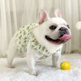 thumbnail image 3 of Adorable Pet Clothes for Cats & Small Dogs - Charming Spring & Autumn Wear, 3 of 4