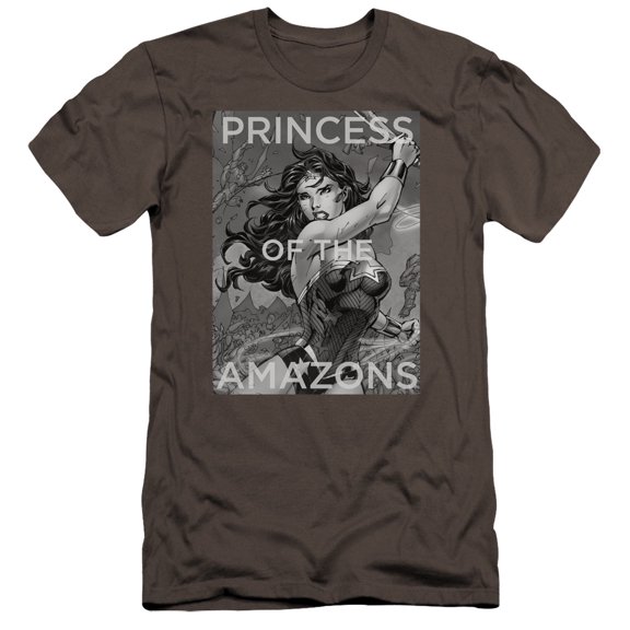 JLA Justice League Princess Of The Amazons Premium Canvas Adult Slim Fit 30/1 T-Shirt Charcoal