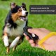 thumbnail image 5 of Clicker de entrenamiento ajustable de 3 velocidades, clicker de entrenamiento para perros con correa para la muñeca, ideal para caballos, gatos y pájaros, perfecto para el entrenamiento conductual (ne, 5 of 5