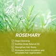 Rosemary Shampoo Bar & Rosemary Mint Serum for Hair Loss,Scalp Massage