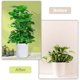 thumbnail image 4 of Enrejado para plantas de interior de 4 piezas Enrejado para plantas de interior, enrejado para plantas trepadoras de metal, soporte para plantas en macetas, es un gran regalo para un amigo TUNC Sencillez, 4 of 5
