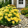 thumbnail image 4 of Outdoor Artificial Daisy Flowers UV Resistant Greenery Faux Shrub Bouquet for Hanging Planter Porch Garden Wedding Party Indoor Home Decor, 4 of 6