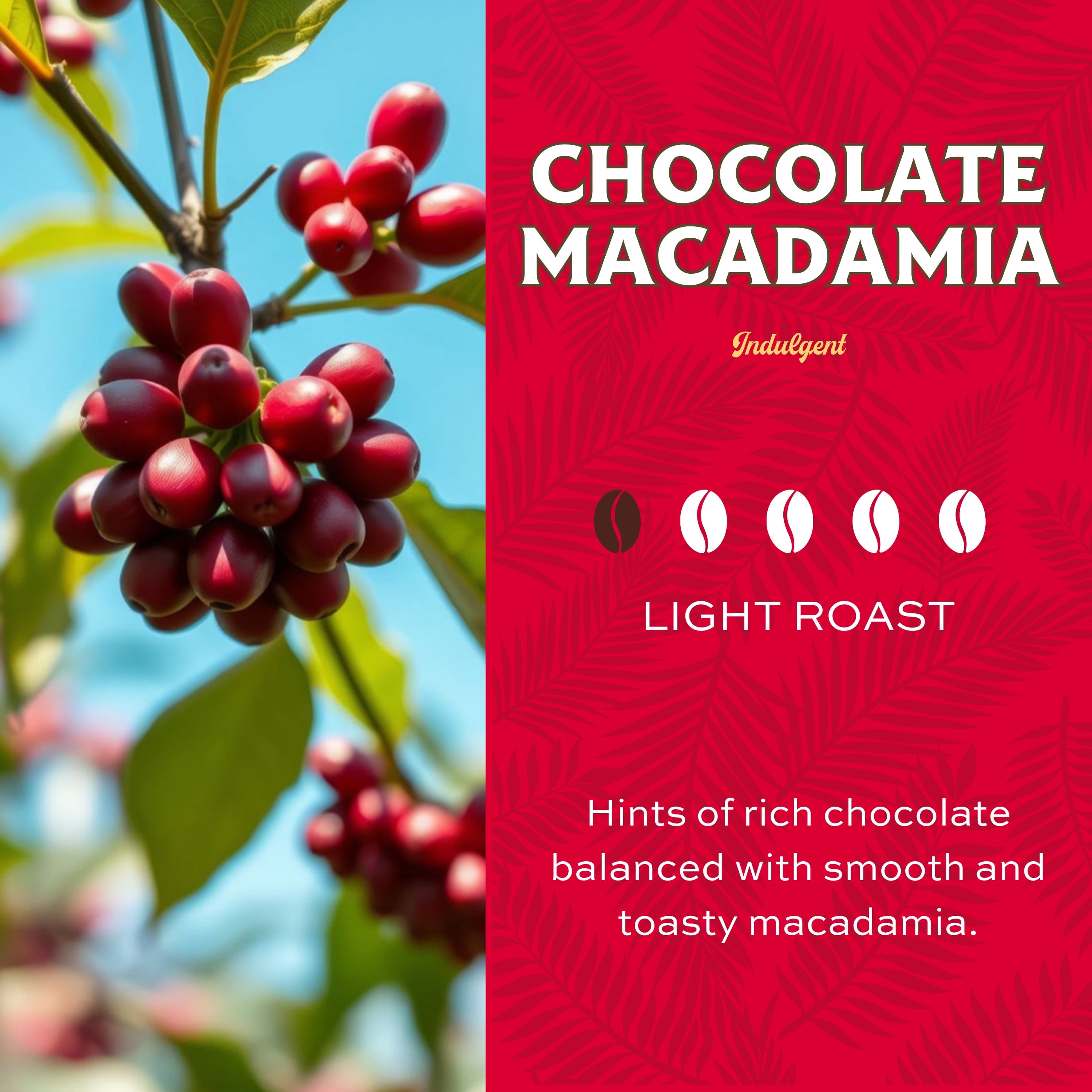 Lion Coffee Chocolate Macadamia Ground Coffee, 100% Arabica, Light Roast, 24 oz