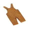 thumbnail image 2 of Baby Girl Boy Velvet Strap Suspender Overalls Pant Solid Jumpsuit Bib Pants One-Piece Spring Fall Clothes, 2 of 7